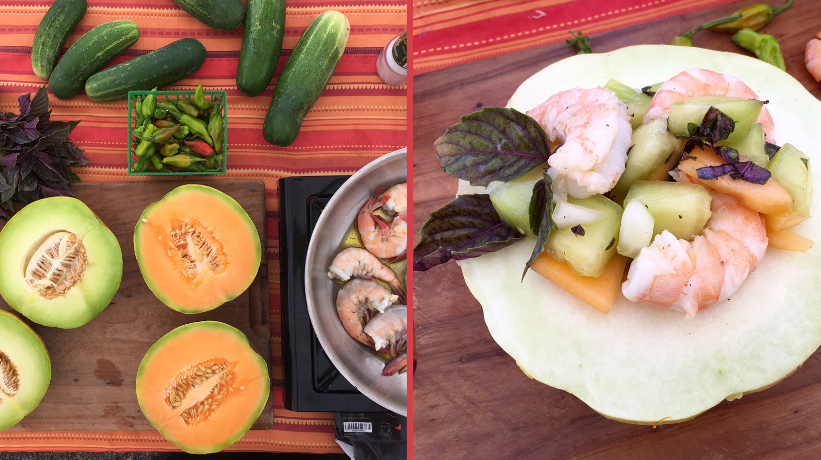 Shrimp and Summer Melon Salad
